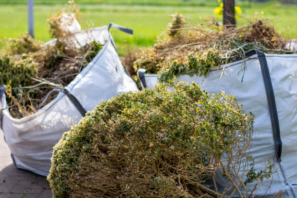 Best Moving and Downsizing Cleanouts  in Rainbow Springs, FL