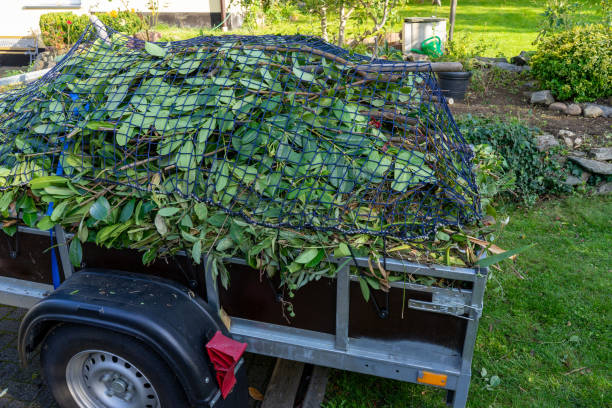 Professional Junk Removal Services in Rainbow Springs, FL